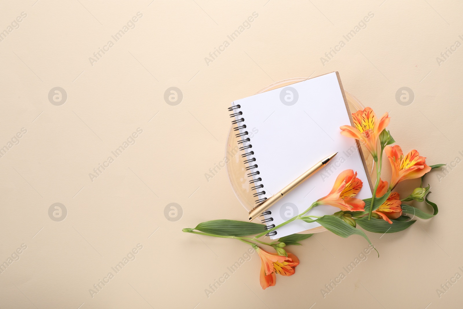 Photo of Guest list. Notebook, pen and beautiful flowers on beige background, top view. Space for text