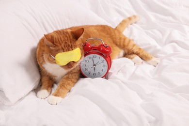 Photo of Cute ginger cat with sleep mask and alarm clock resting on bed