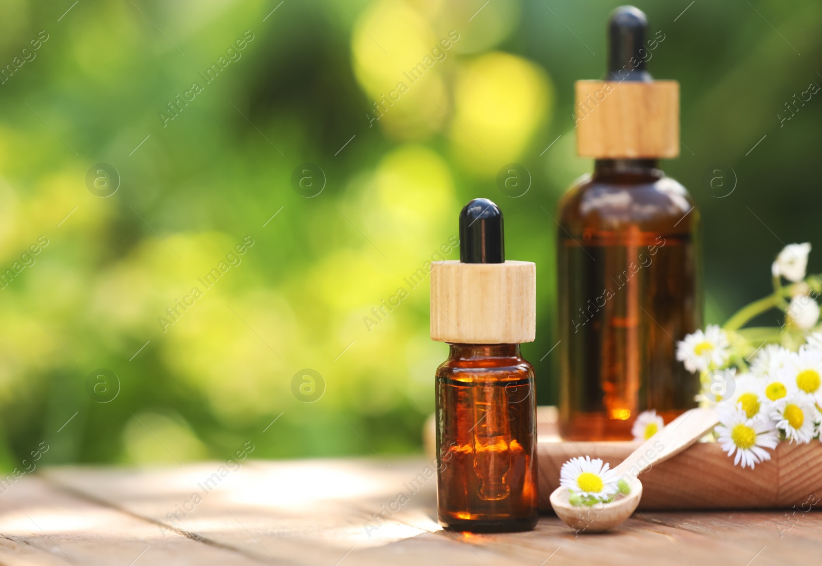 Photo of Bottles of chamomile essential oil and flowers on wooden table, space for text