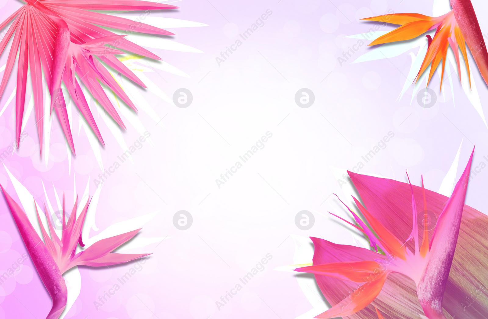 Image of Colorful tropical plants on light background, flat lay. Creative design