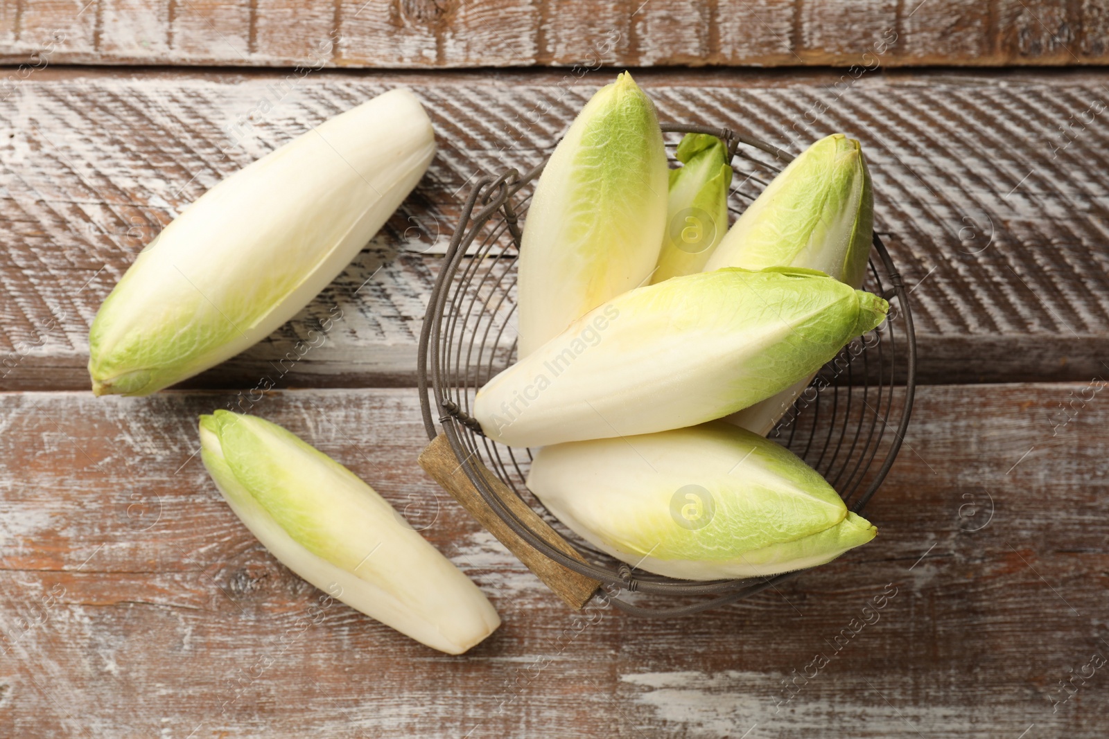 Photo of Fresh raw Belgian endives (chicory) in metal basket on wooden table, top view