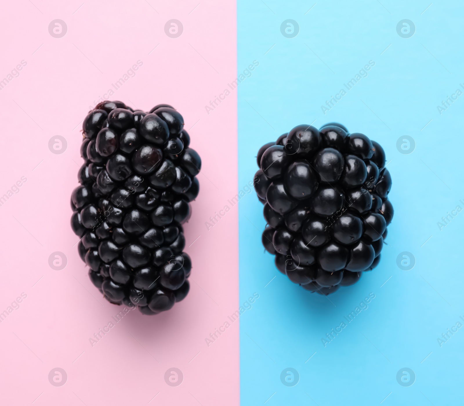 Photo of Fresh ripe blackberries on color background, flat lay