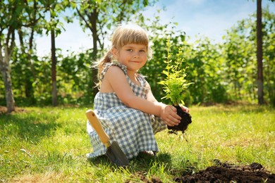 Cute little girl planting tree in garden
