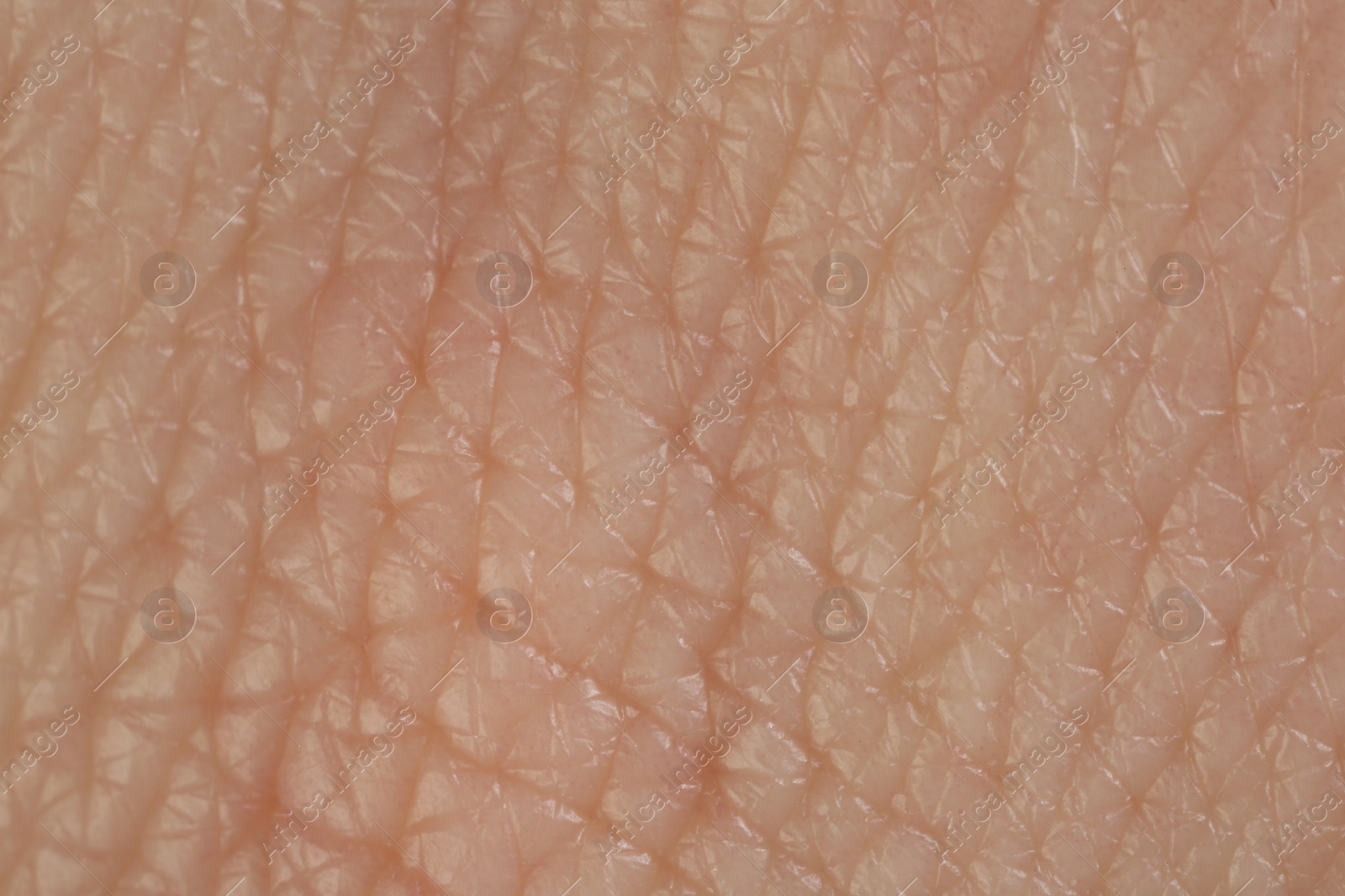 Photo of Texture of healthy skin as background, macro view