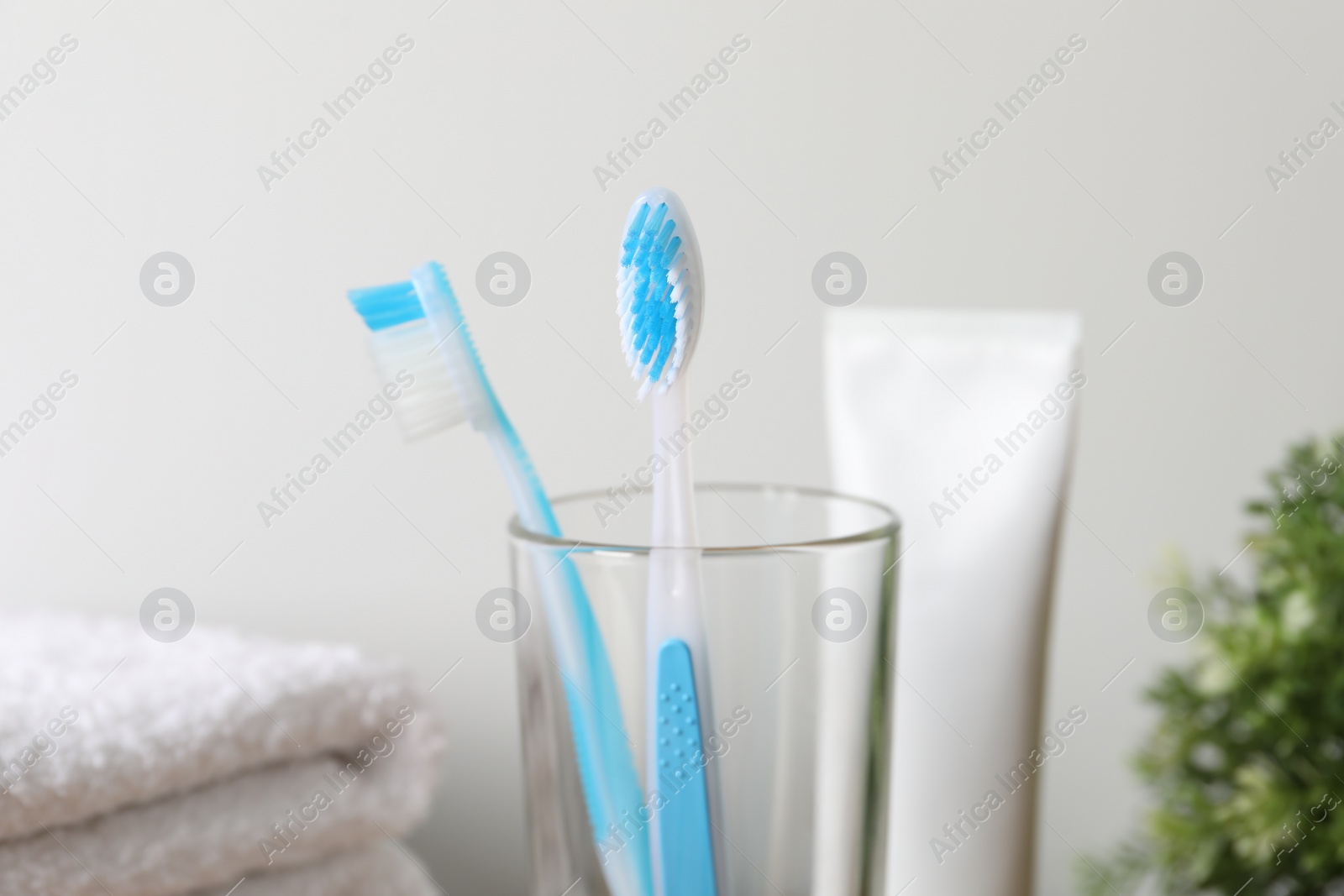 Photo of Plastic toothbrushes in glass holder on blurred background, closeup