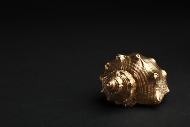 Photo of Shiny gold seashell on black background. Space for text