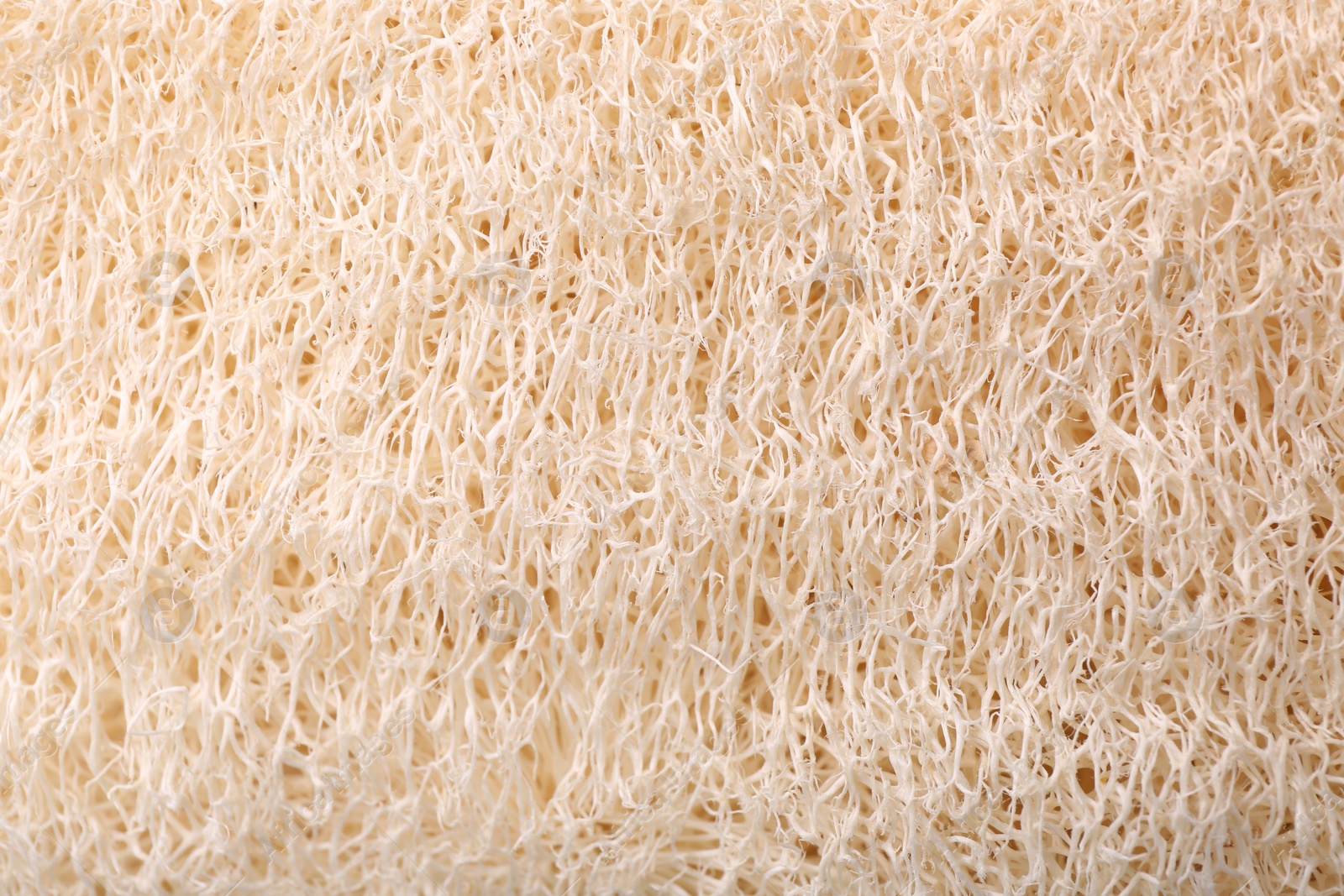 Photo of Loofah sponge as background, top view. Personal hygiene product