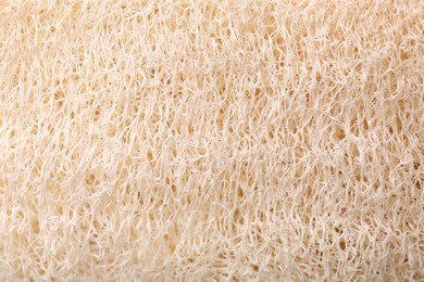 Loofah sponge as background, top view. Personal hygiene product