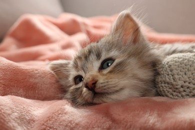 Photo of Cute kitten with toy on soft pink blanket