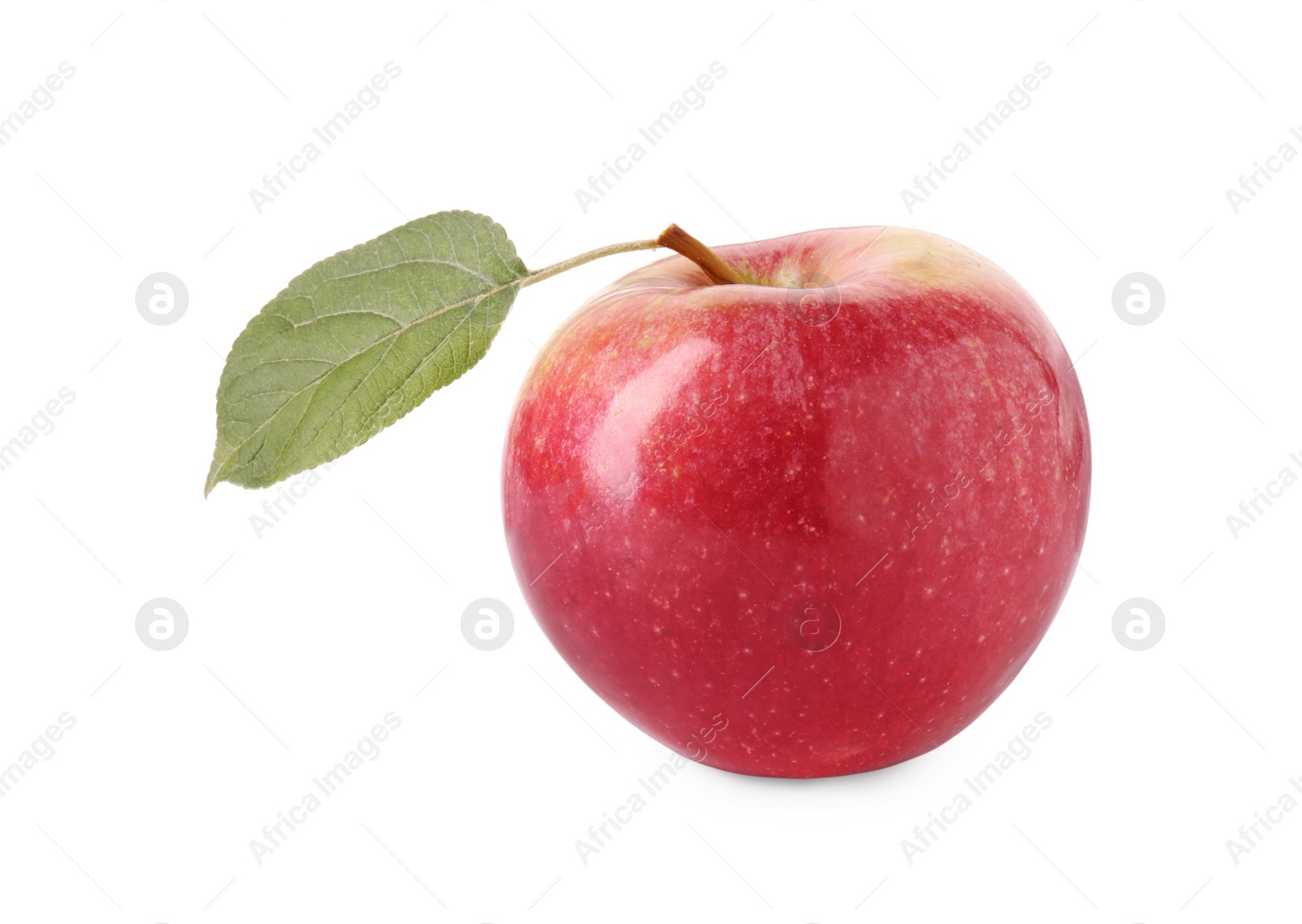 Photo of One ripe red apple with leaf isolated on white