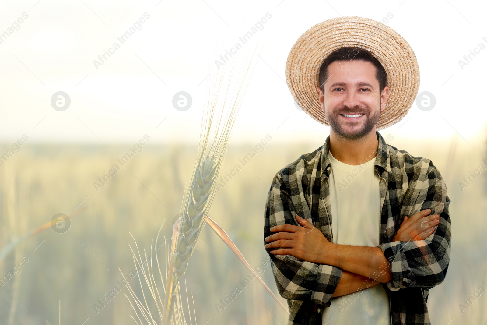 Image of Double exposure of happy farmer and wheat field. Space for text