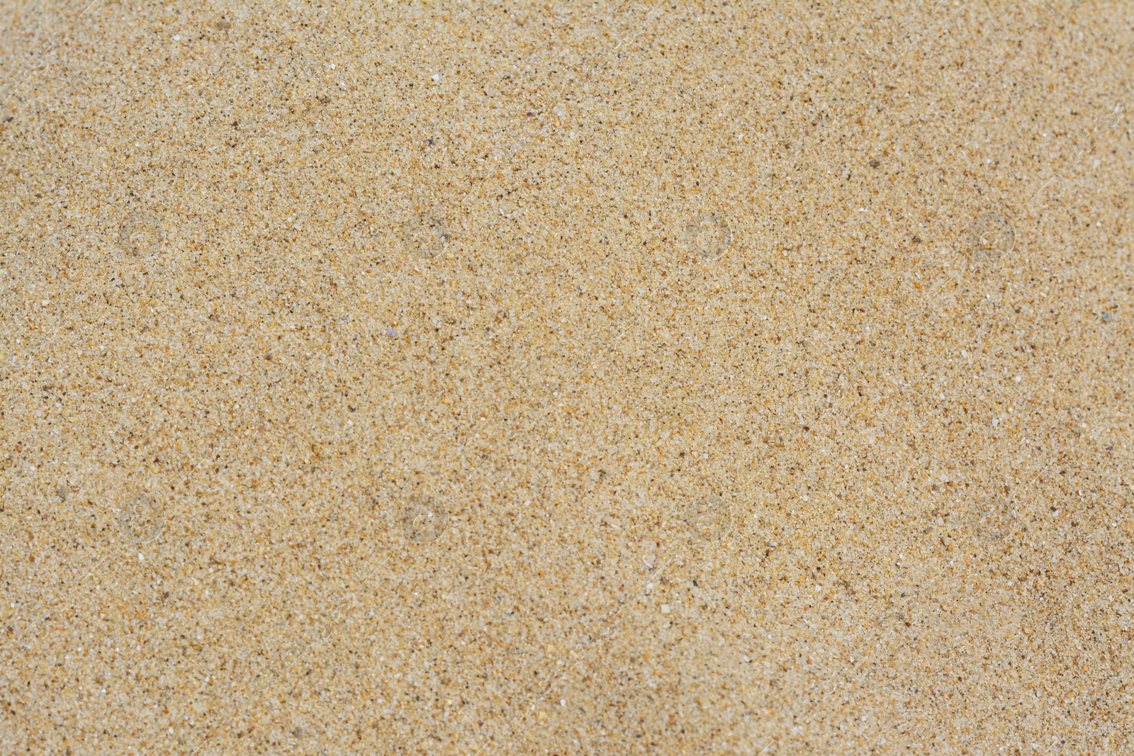 Photo of Texture of sandy beach as background, closeup