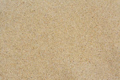 Photo of Texture of sandy beach as background, closeup