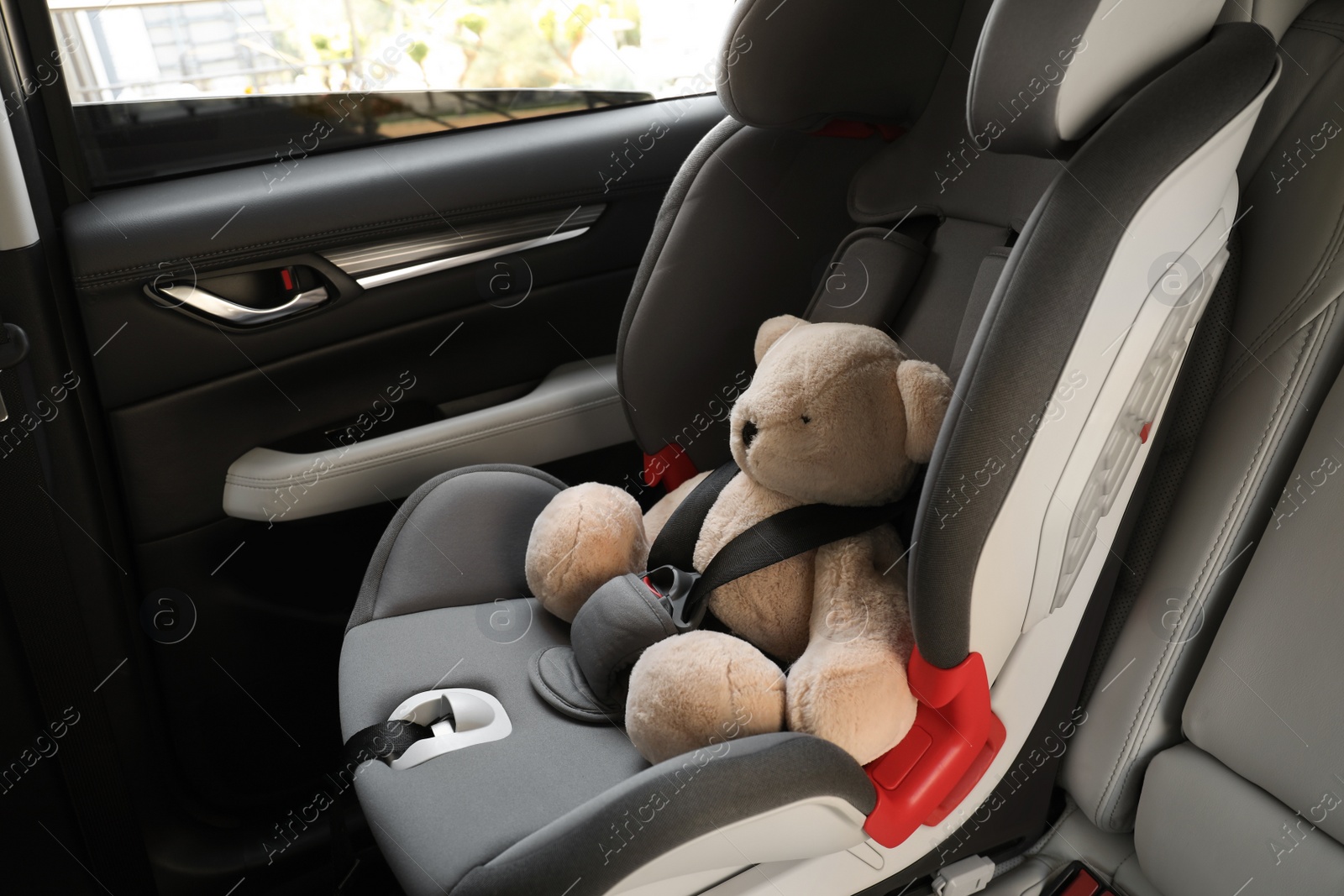 Photo of Teddy bear fastened with car safety belt in child seat