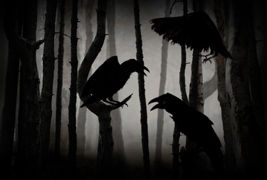 Image of Black crows in creepy misty forest. Fantasy world