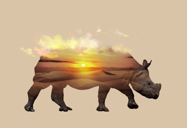 Image of Double exposure of rhinoceros and sandy desert