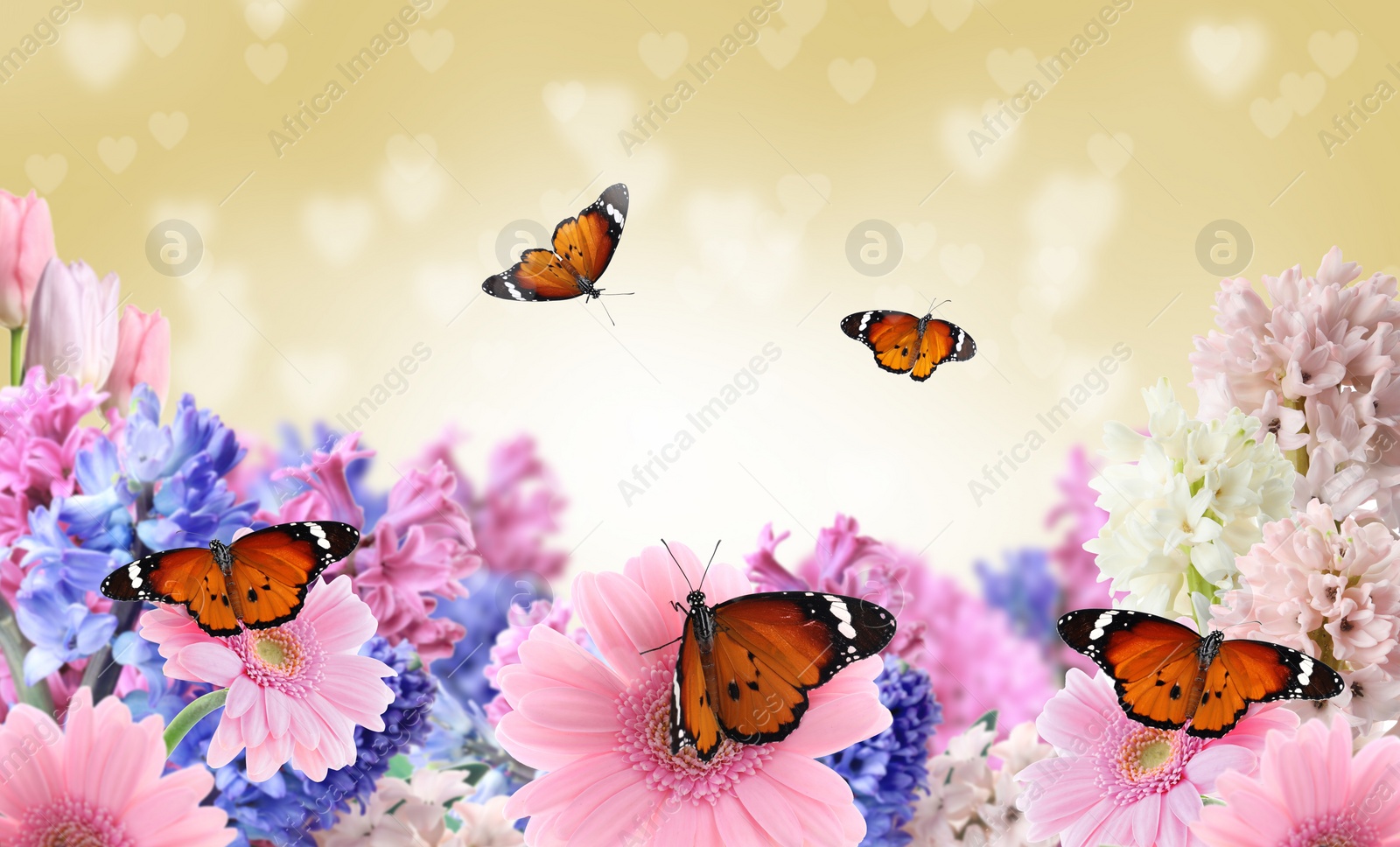 Image of Beautiful blooming flowers and painted lady butterflies 