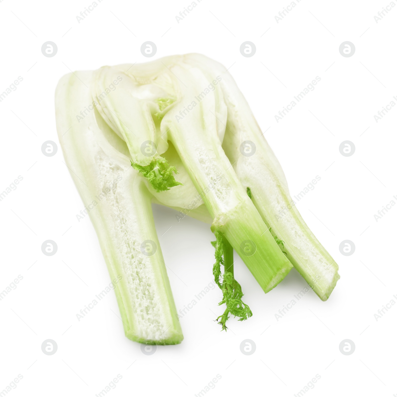 Photo of Cut raw fennel bulb isolated on white