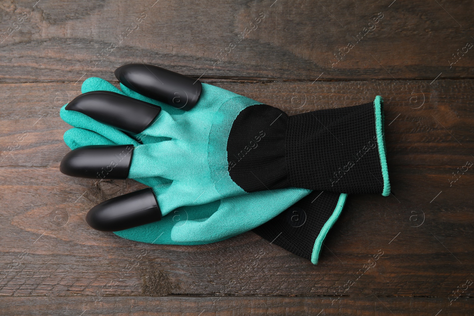 Photo of Pair of claw gardening gloves on wooden table, top view