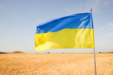 Photo of National flag of Ukraine in wheat field against blue sky, closeup