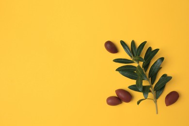 Fresh olives and green leaves on yellow background, flat lay. Space for text