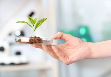 Photo of Scientist holding Petri dish with green plant in laboratory, closeup