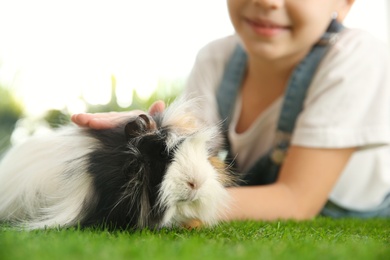 Little child with guinea pig outdoors, closeup. Lovely pet
