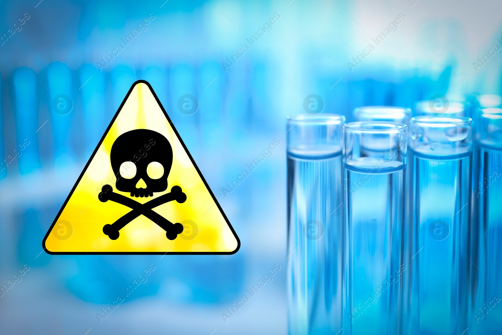 Image of Poison sign and test tubes in laboratory, closeup