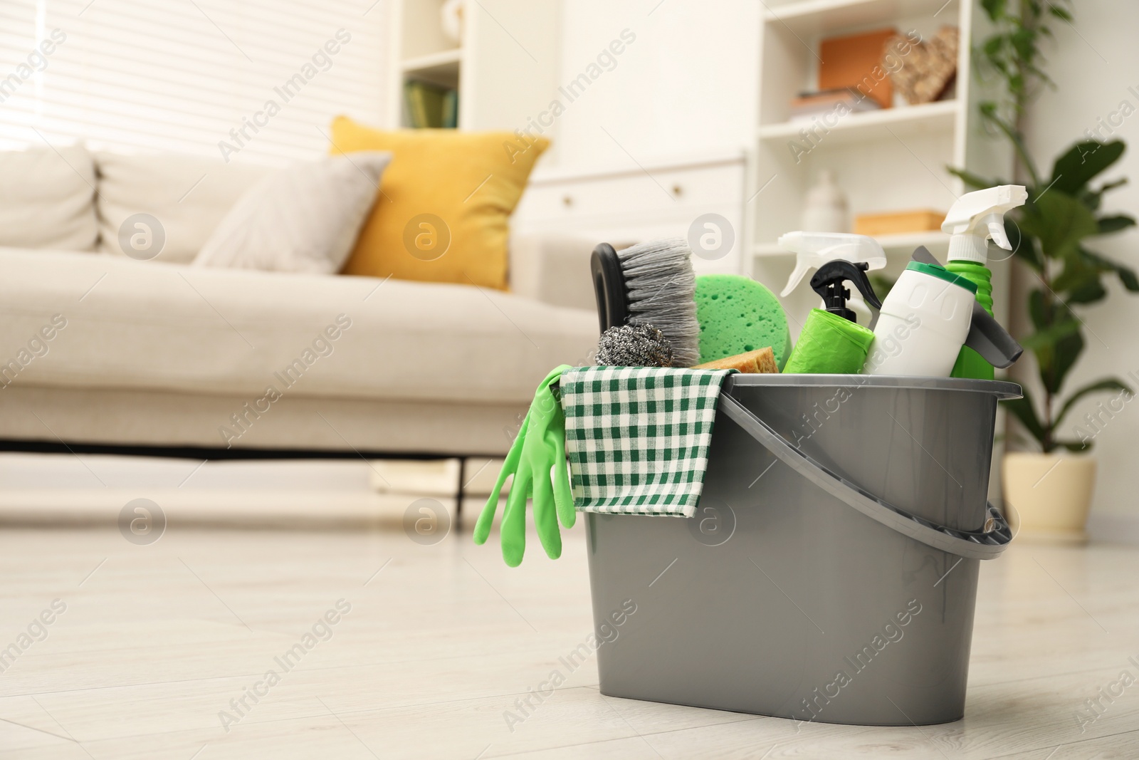 Photo of Different cleaning supplies in bucket on floor at home, space for text