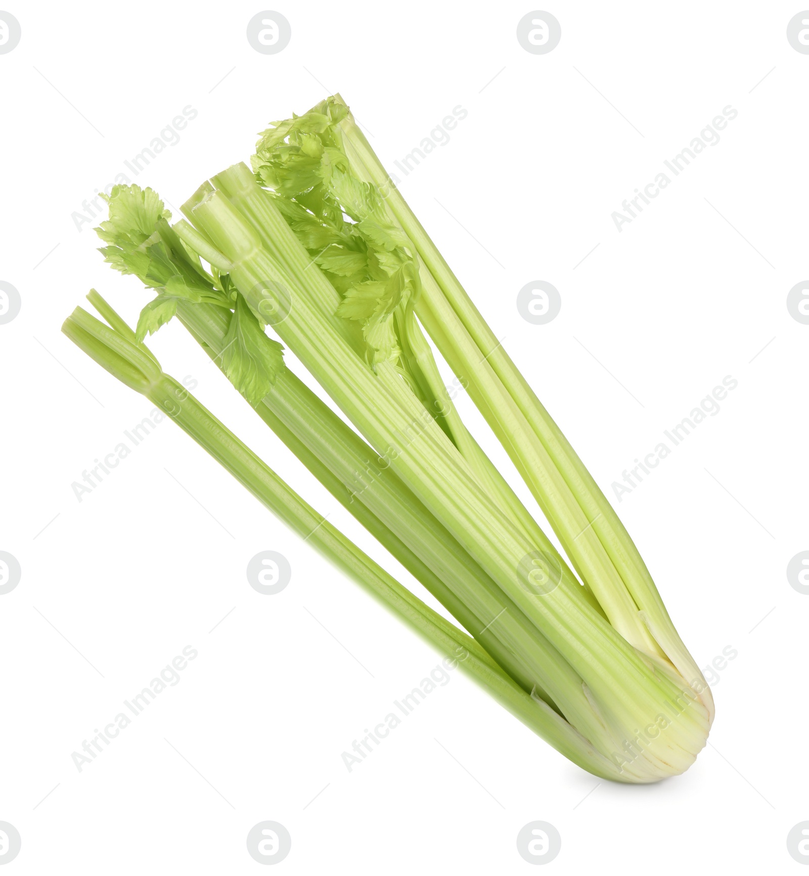 Photo of Fresh ripe green celery isolated on white