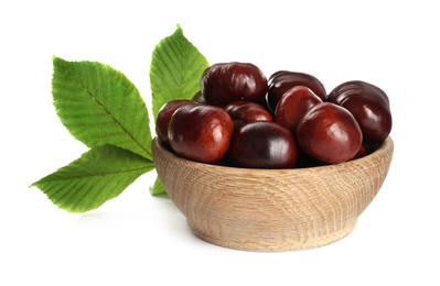 Horse chestnuts in bowl on white background