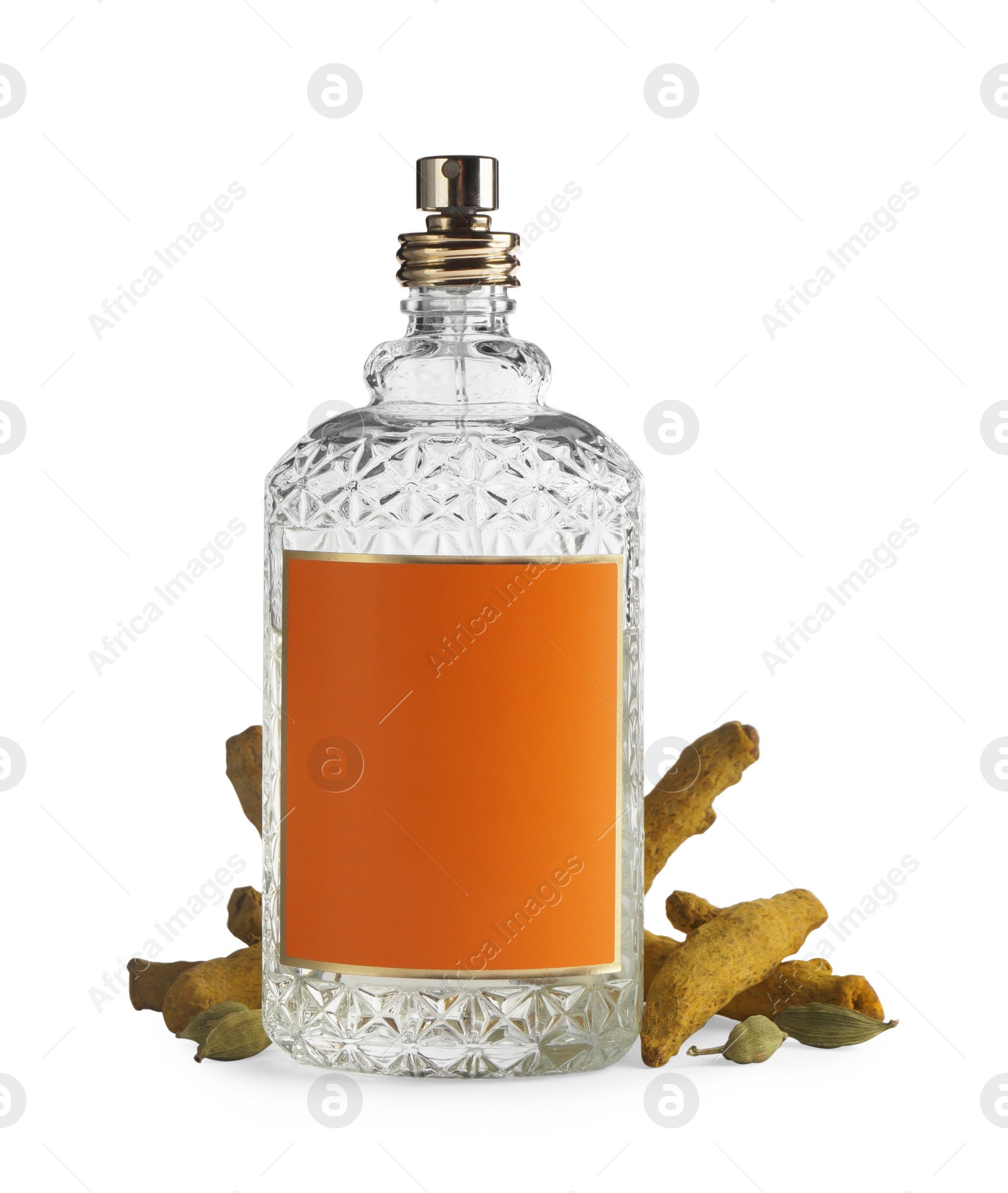 Photo of Bottle of perfume and different spices on white background