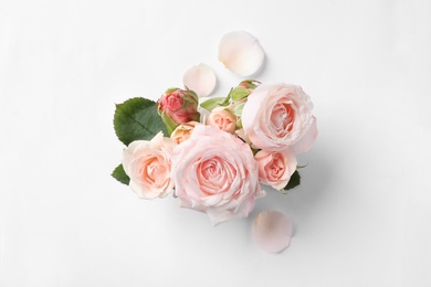 Photo of Beautiful roses on white background, top view