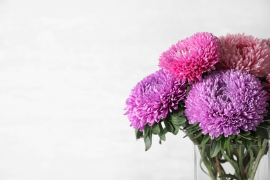 Photo of Beautiful aster flowers on light background. Space for text