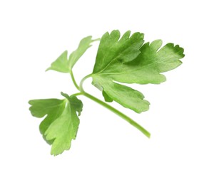 Photo of Sprig of fresh green parsley isolated on white