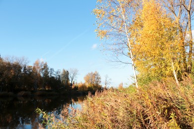 Photo of Beautiful view of lake and trees on autumn day