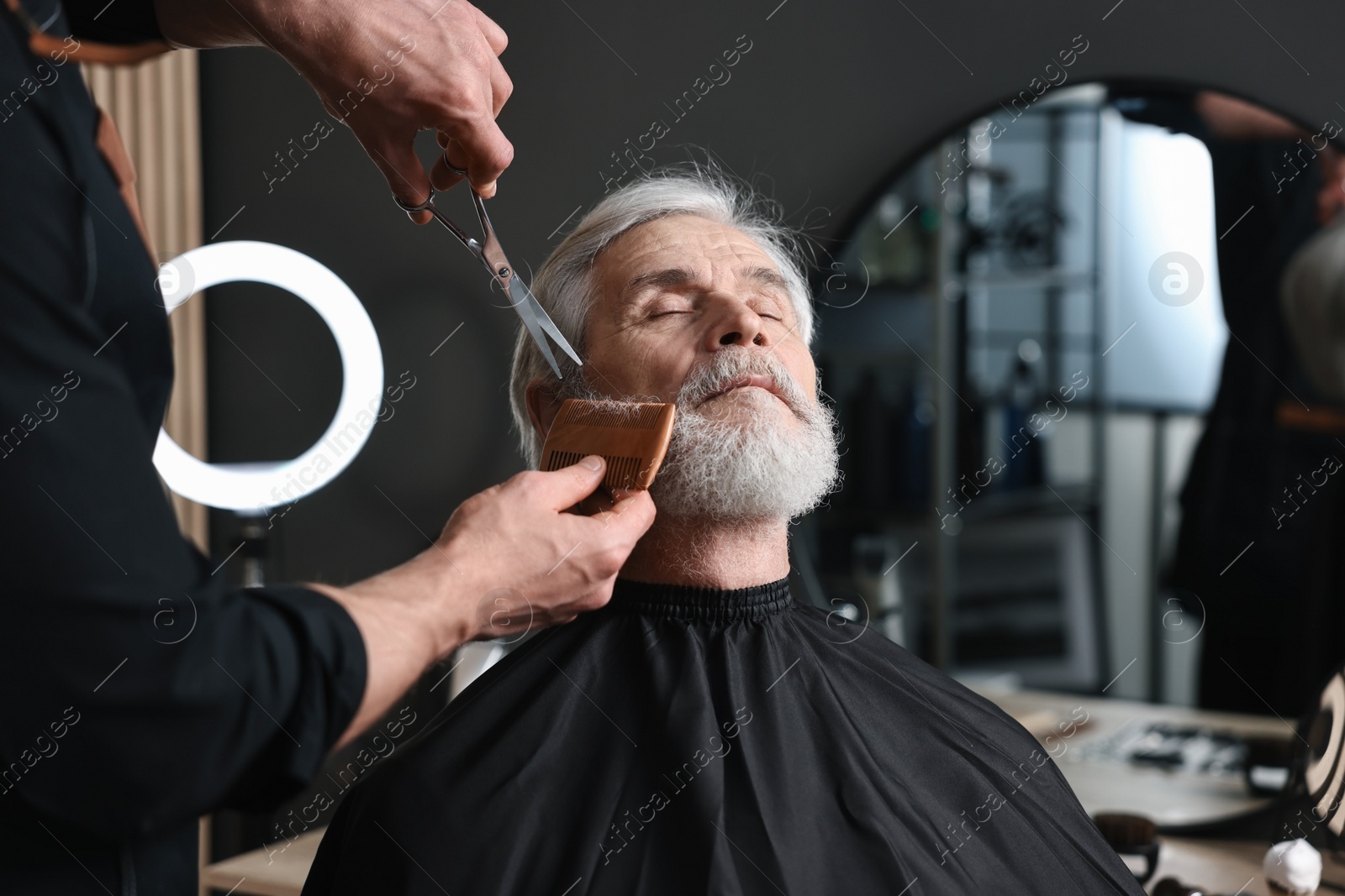 Photo of Professional barber trimming client's beard with scissors in barbershop