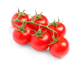 Branch of fresh cherry tomatoes isolated on white