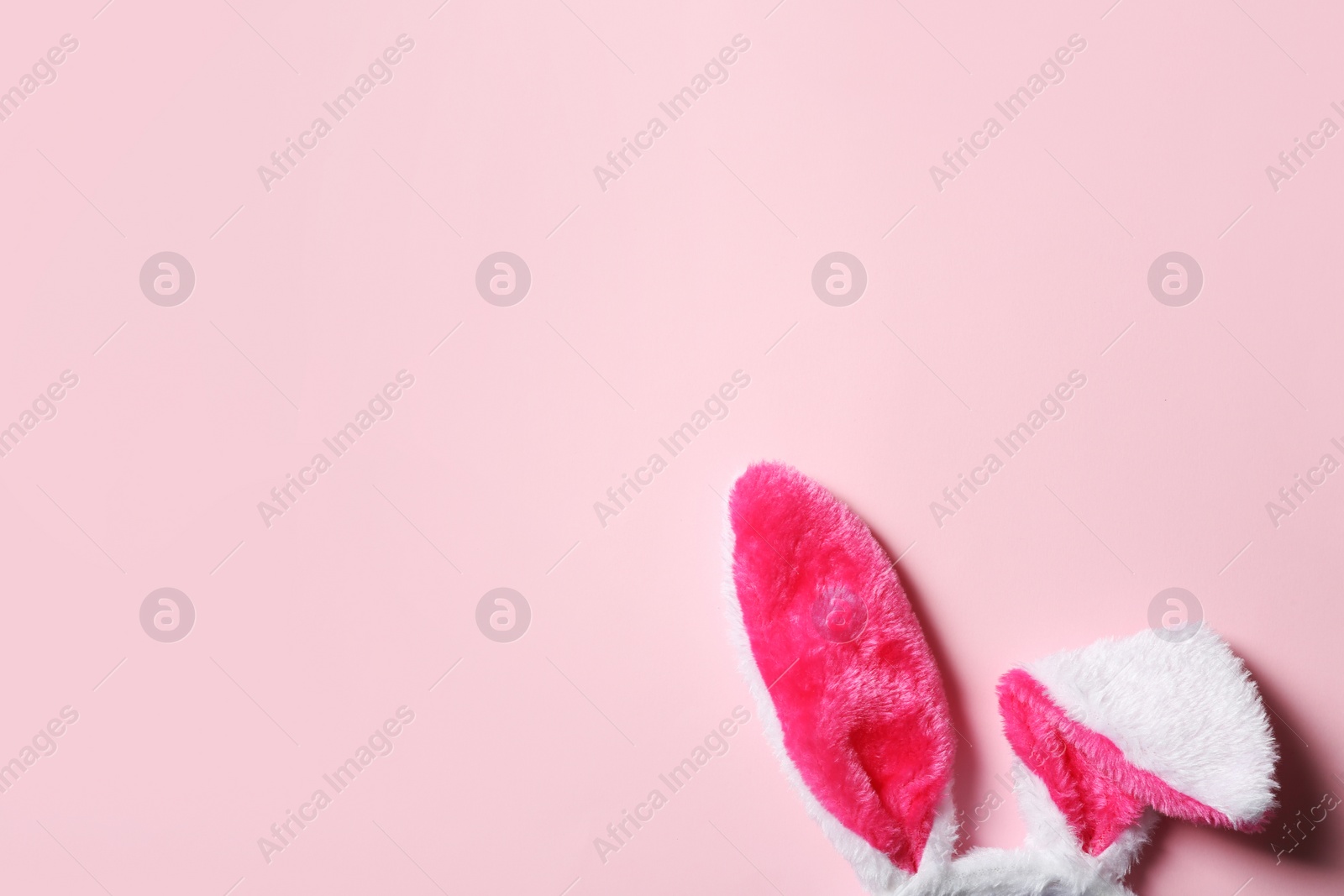 Photo of Funny Easter bunny ears on color background, top view with space for text