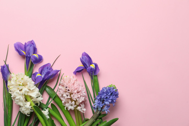 Photo of Flat lay composition with spring flowers on pink background. Space for text