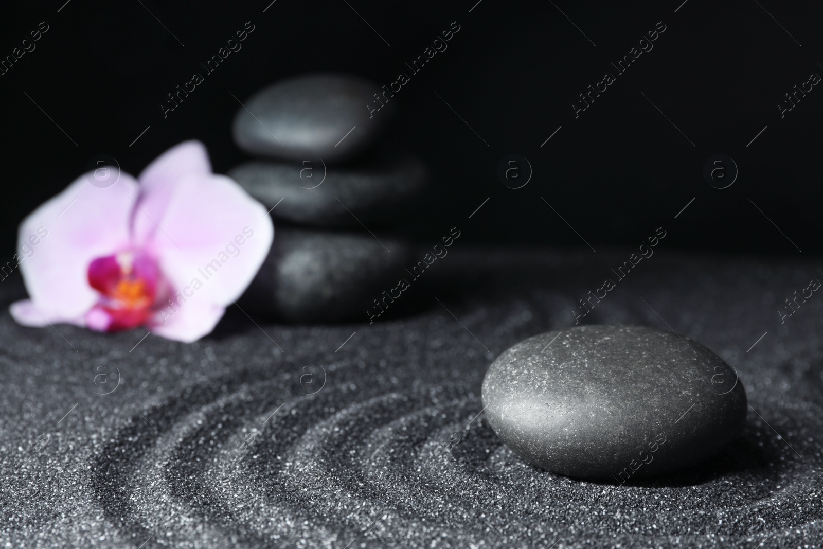 Photo of Spa stones and orchid flower on black sand with beautiful pattern. Zen concept