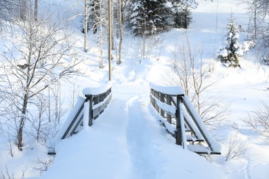 Photo of Beautiful view of railings, trees and bushes covered with snow on winter day