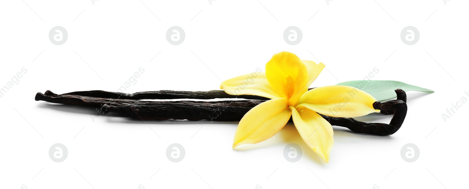 Photo of Aromatic vanilla sticks and flower on white background