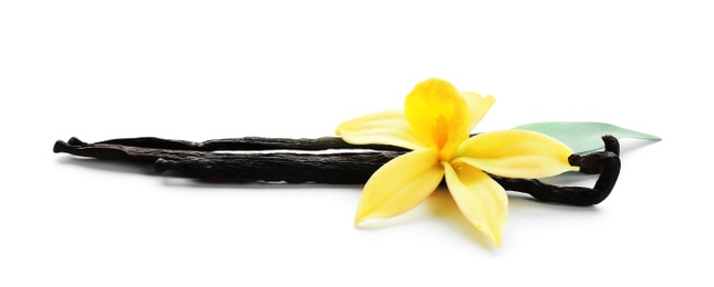 Photo of Aromatic vanilla sticks and flower on white background