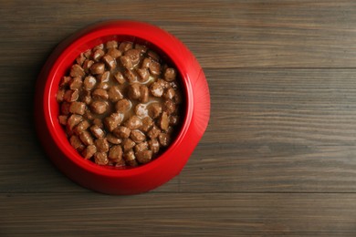 Wet pet food in feeding bowl on wooden background, top view. Space for text