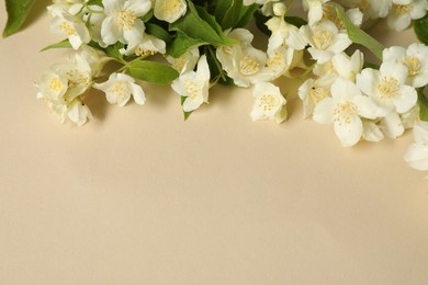 Aromatic jasmine flowers and green leaves on beige background, above view. Space for text