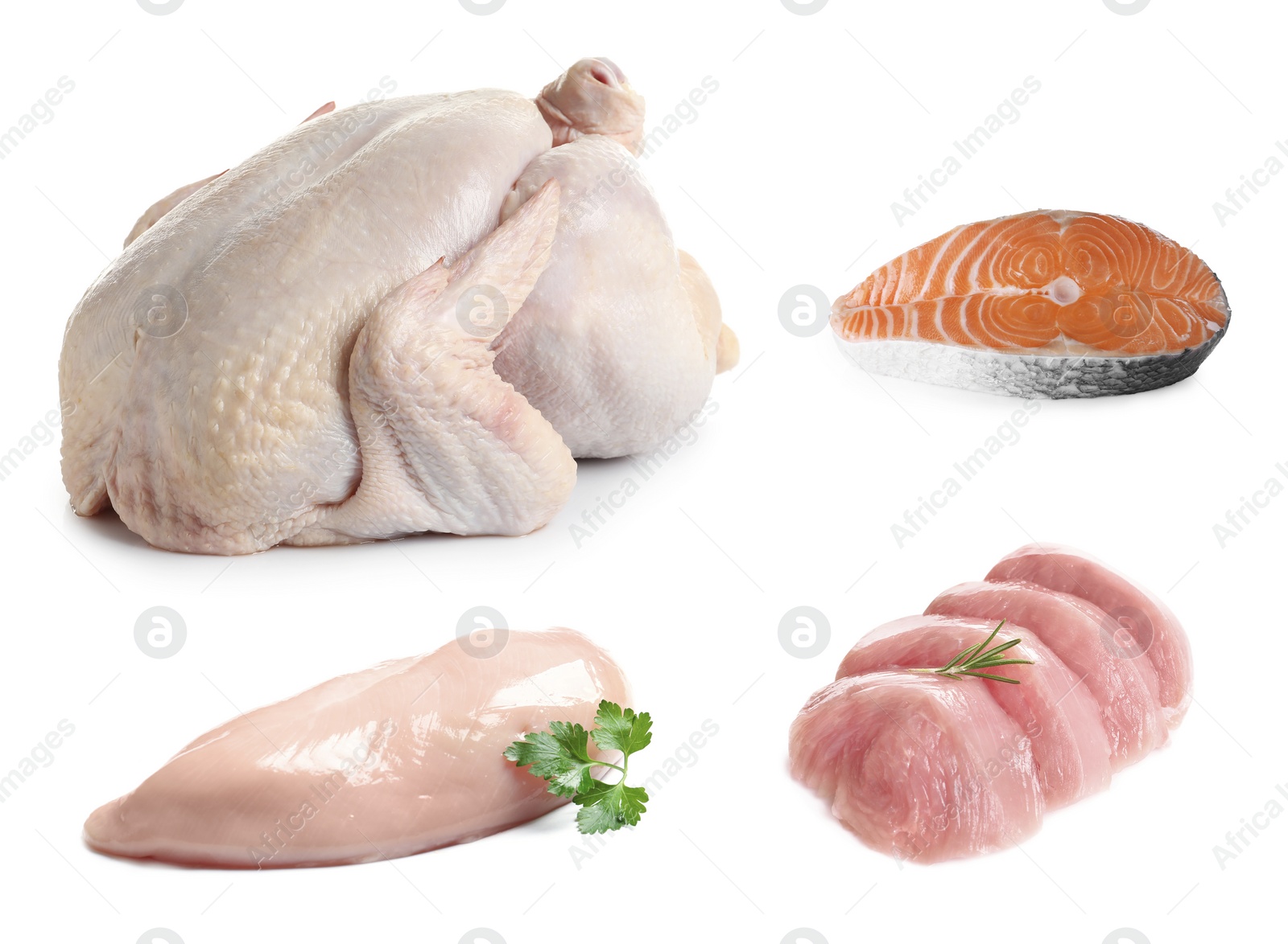 Image of Set with food rich in protein on white background