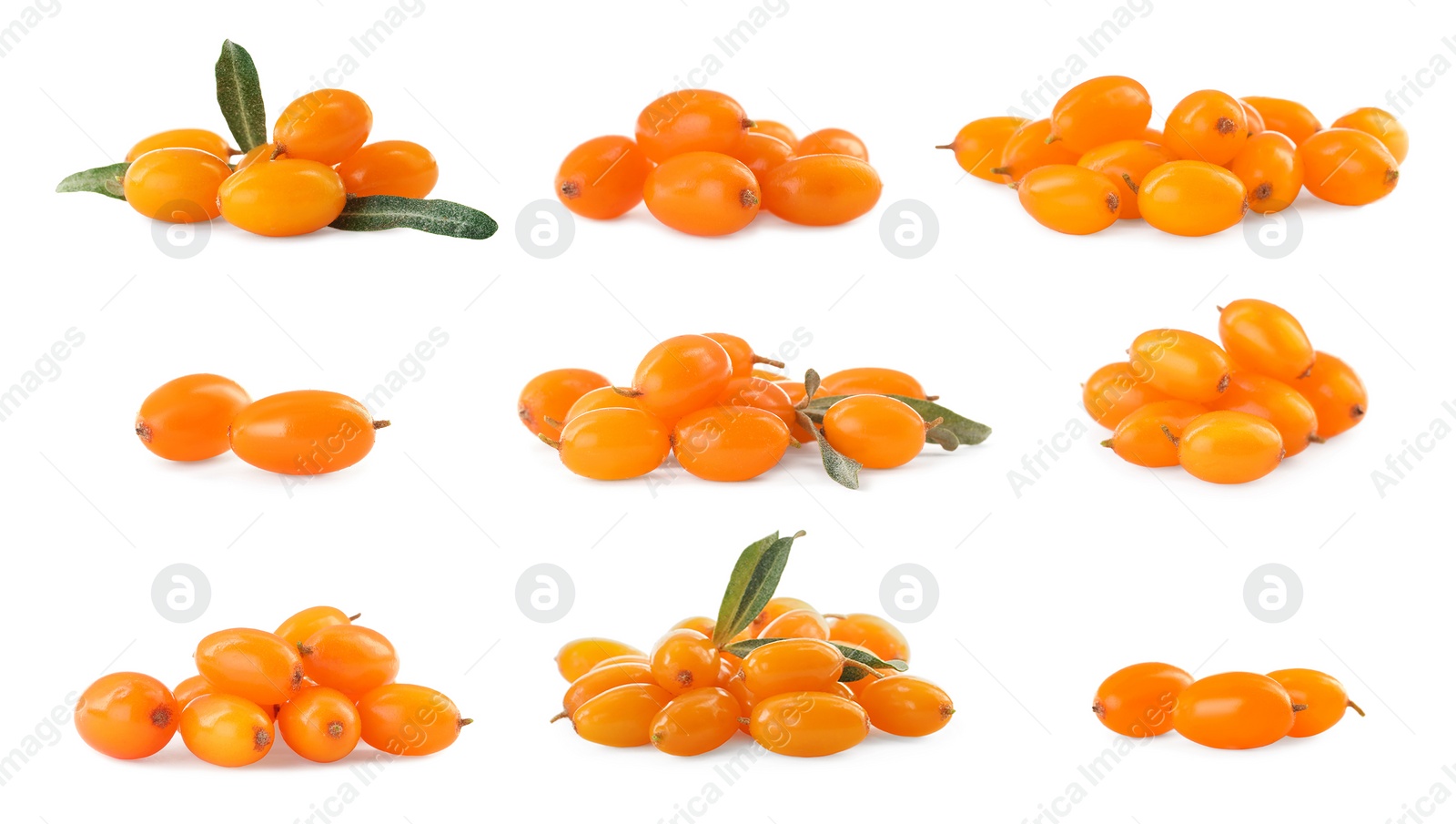 Image of Set with fresh ripe sea buckthorn berries on white background 