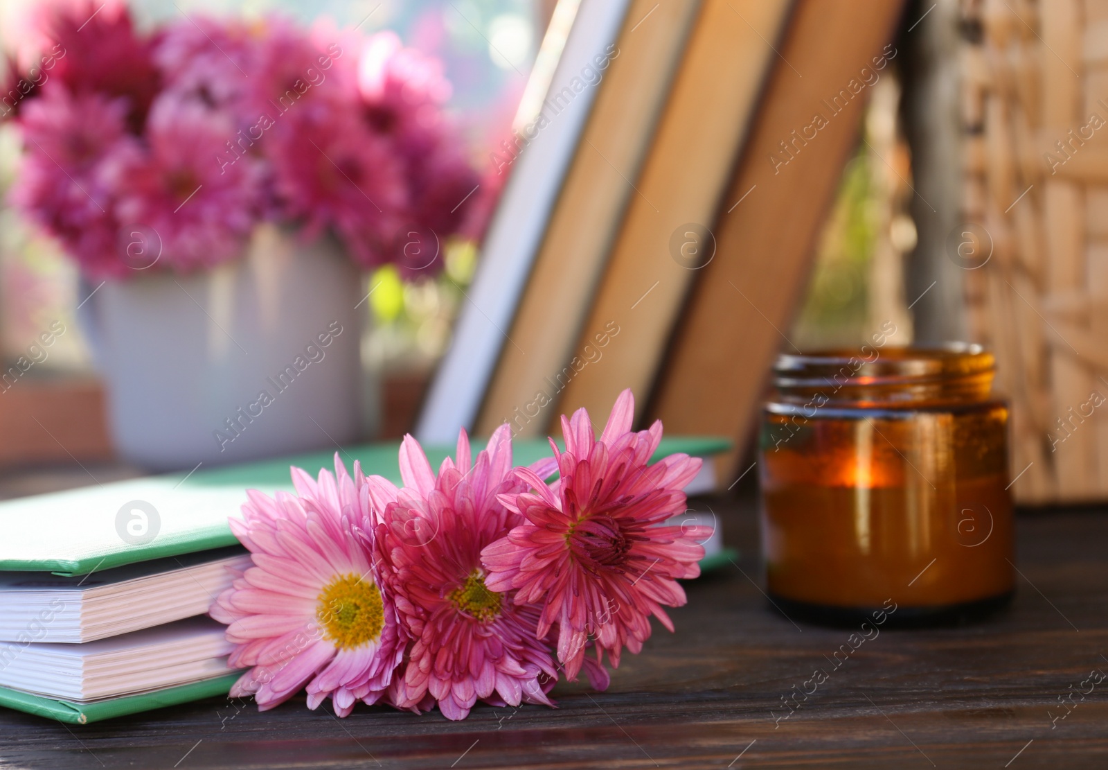 Photo of Book with beautiful chrysanthemum flowers as bookmark on wooden table, closeup