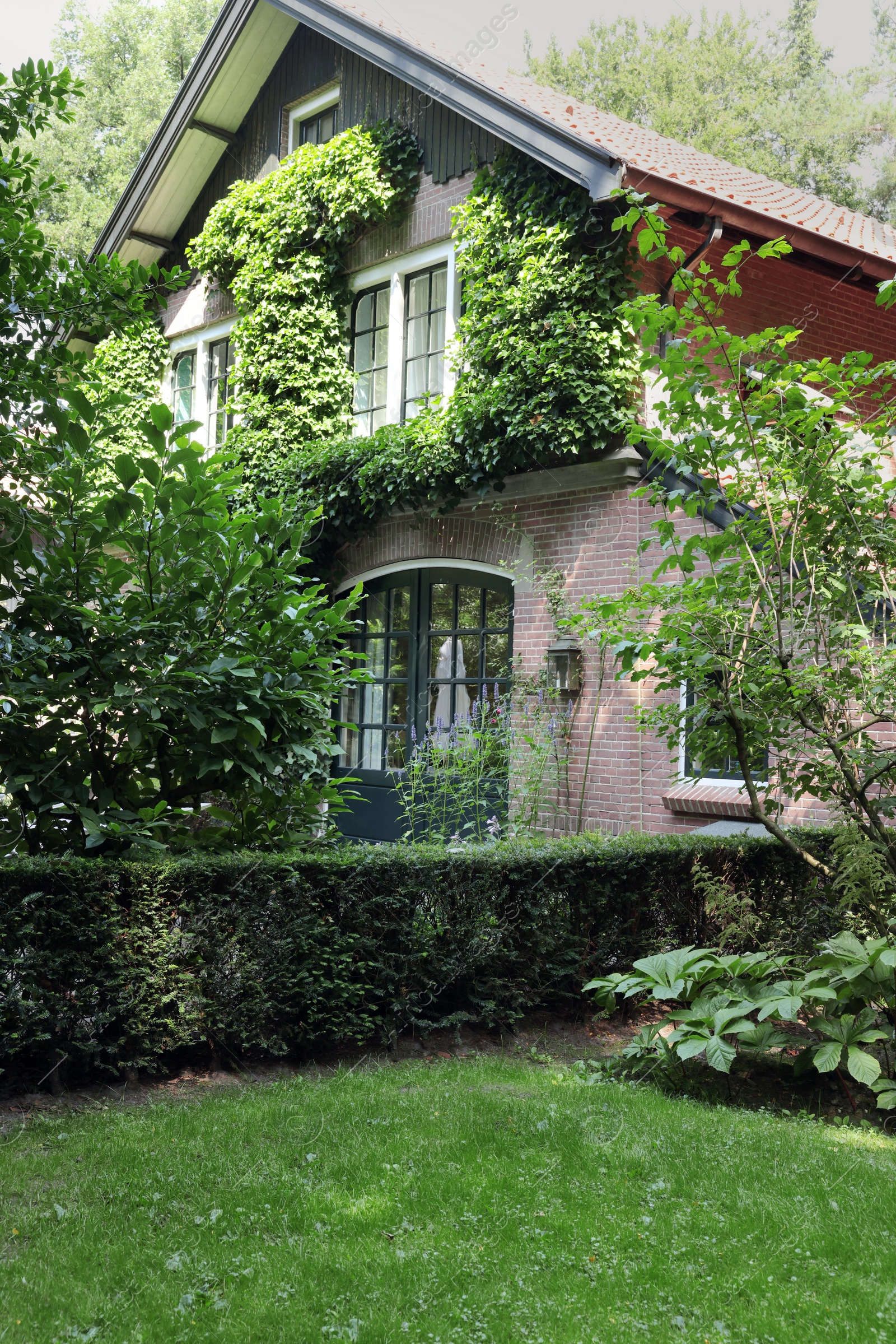 Photo of Picturesque view of beautiful house and plants on sunny day